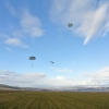 1st Operation Toy Drop 109